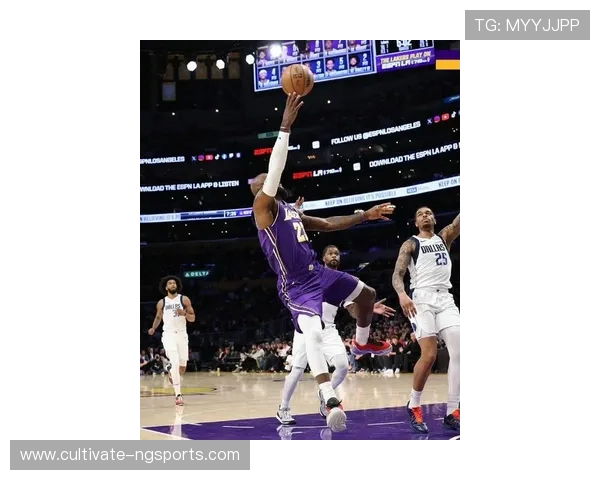 詹姆斯带领湖人重回胜利轨道，独行侠展现强劲攻势，NBA最新战况全面解析