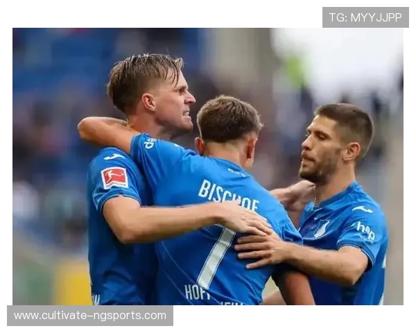 霍芬海姆1899足球俱乐部的历史发展与未来展望