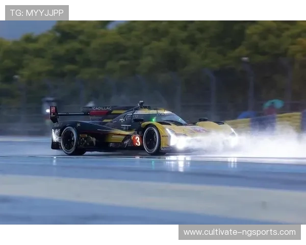 F1赛季激战升级车队争冠白热化新星崛起引爆全球关注