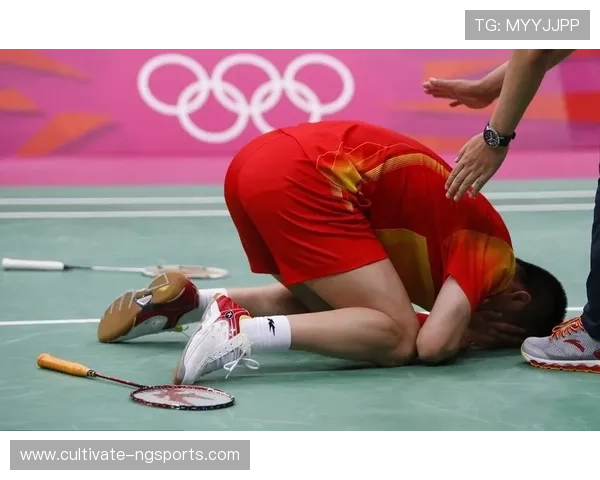 奥运赛场精彩瞬间回顾中国运动员再创佳绩引关注